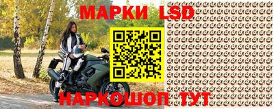 стаф Будённовск